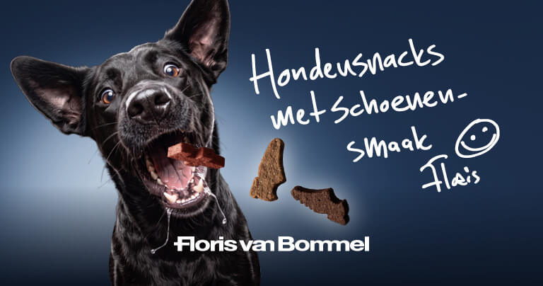 Floris van Bommel en Bravoer lanceren 's werelds eerste hondensnack met schoenensmaak