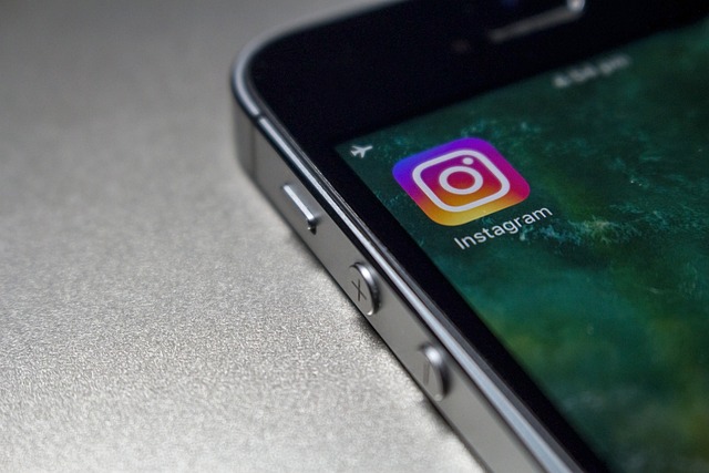 Nederlandse Instagram volgers