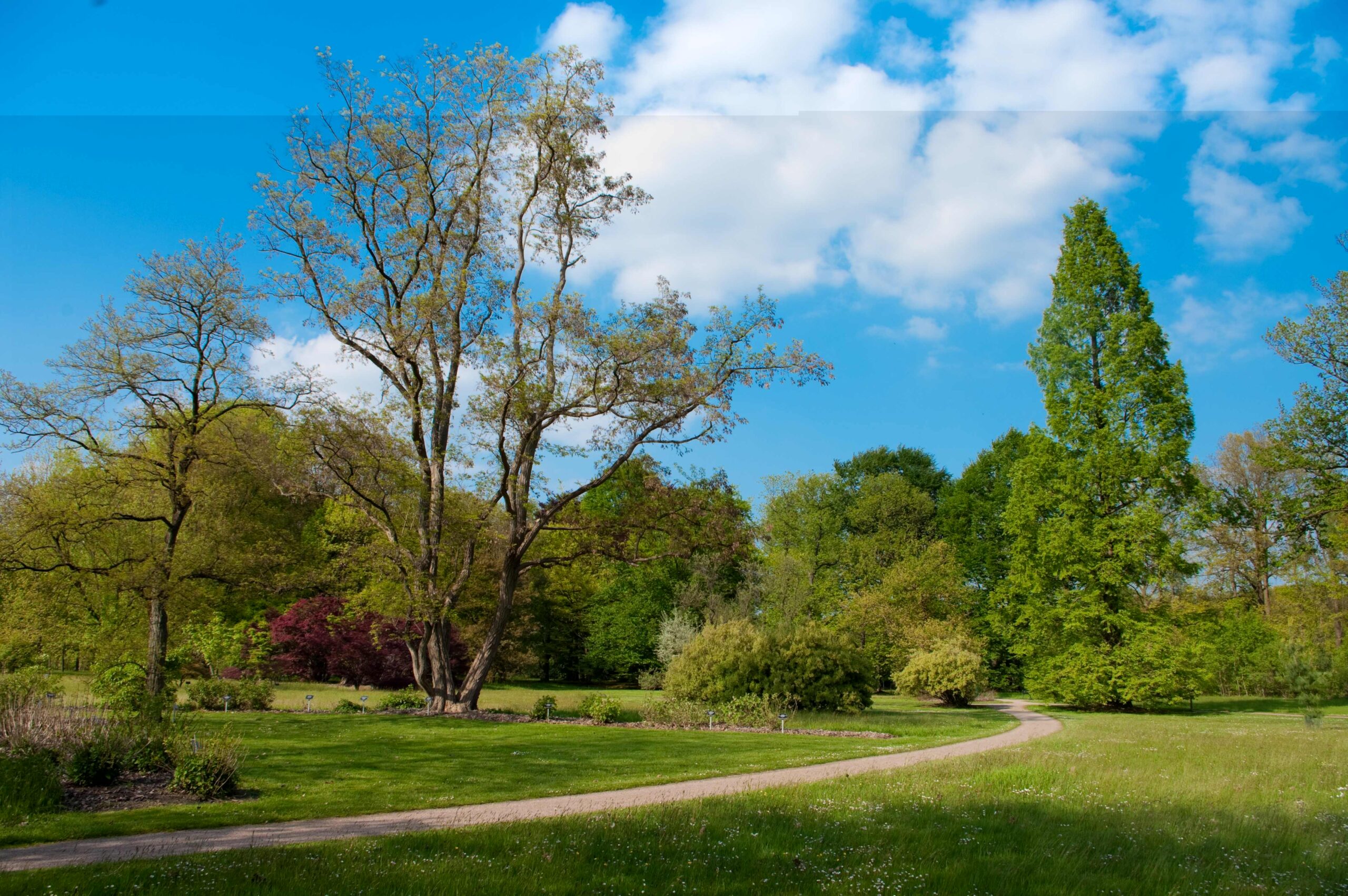De Lutte: de groene parel van Twente