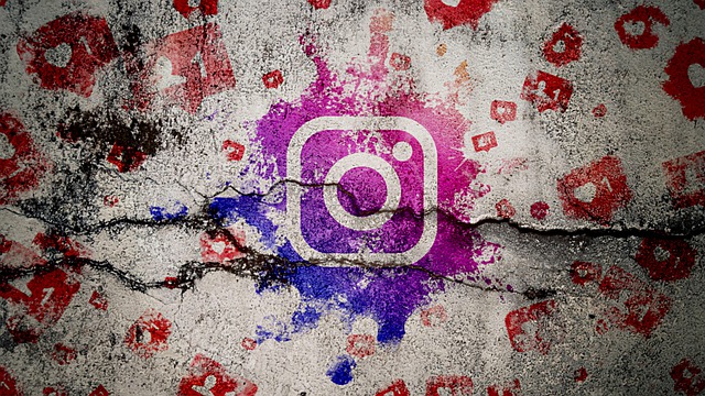 Het essentiële belang van Instagram volgers