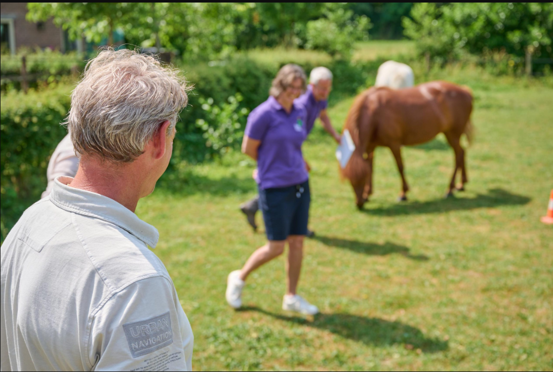 Paardencoaching in Ermelo en Nijkerk: Versterk je team en communicatie