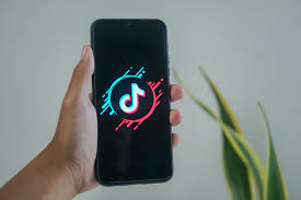 TikTok karakterimpressies en stemimitaties