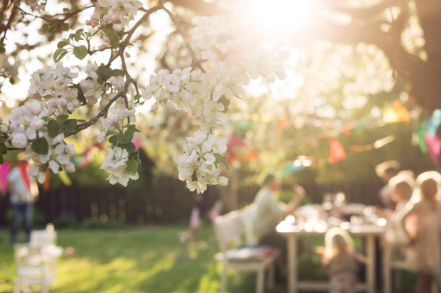 Een luxe themafeest in de zomer dat koel aanvoelt