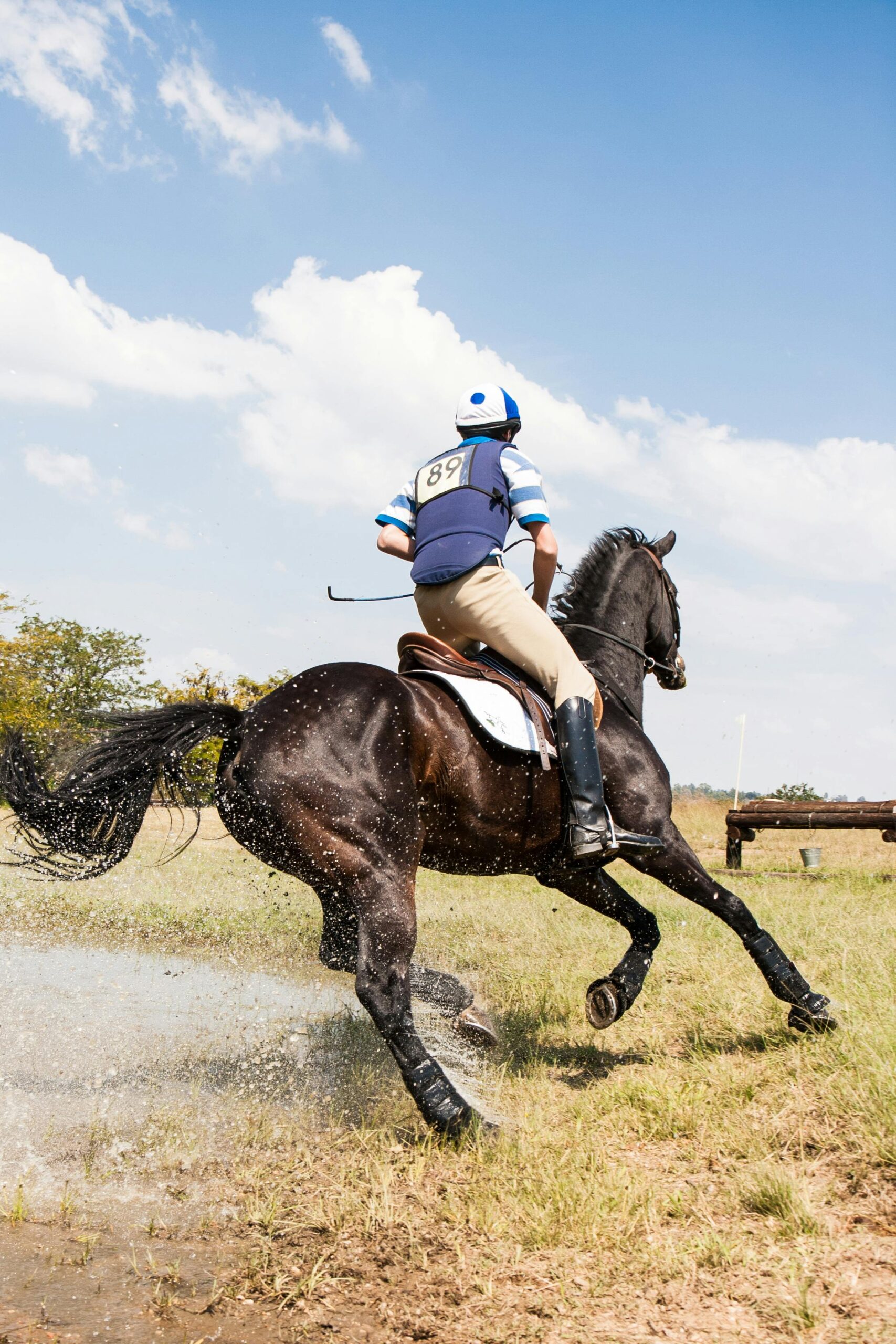 Wat is het duurste paard ter wereld?