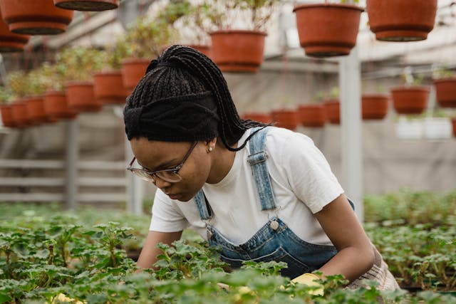 De invloed van pH-waarde op potgrond en plantenvoeding