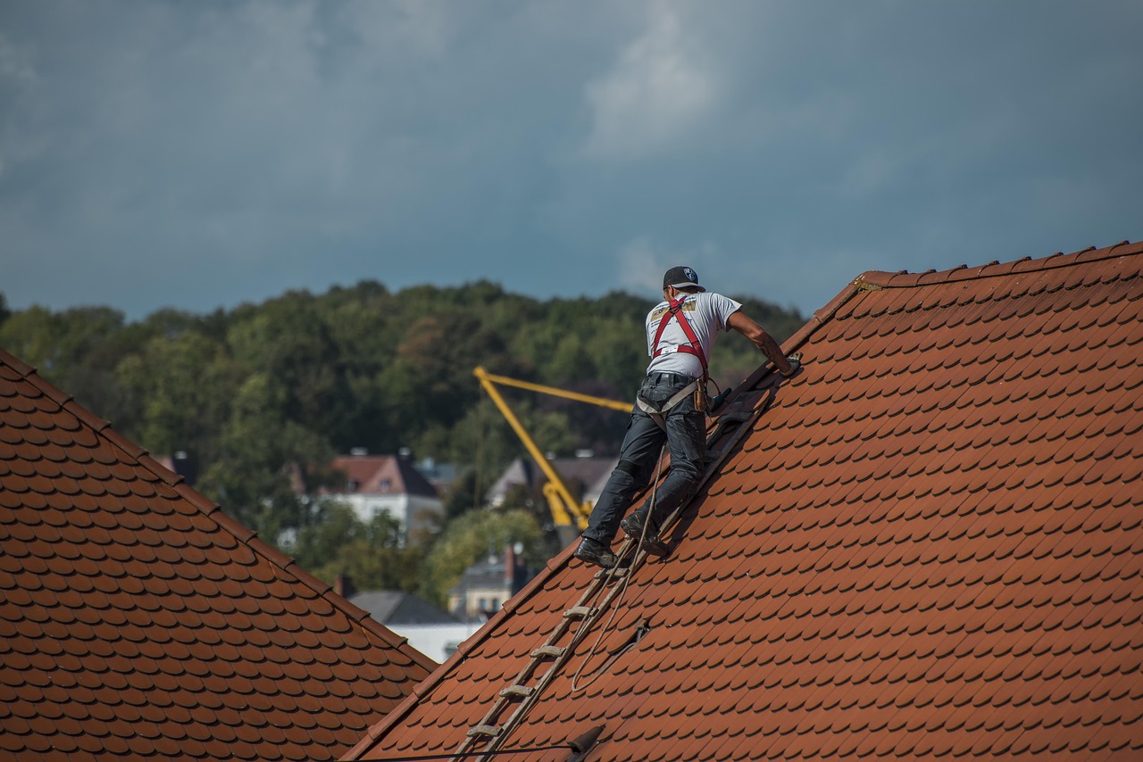 Dakreiniging voor ontmossing: noodzaak of mythe?