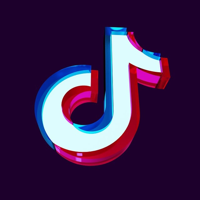 Gemakkelijk en Slim Groeien op TikTok door Goedkope Likes te Kopen