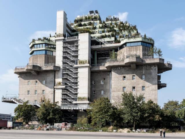 Biobased bouwen: de toekomst van duurzaam wonen
