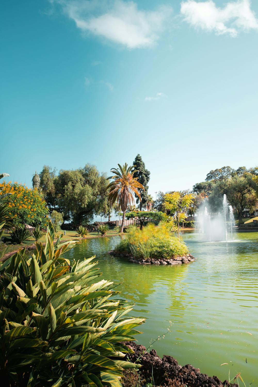 Botanische tuin in Veendam: ontdek de groene parels van de regio